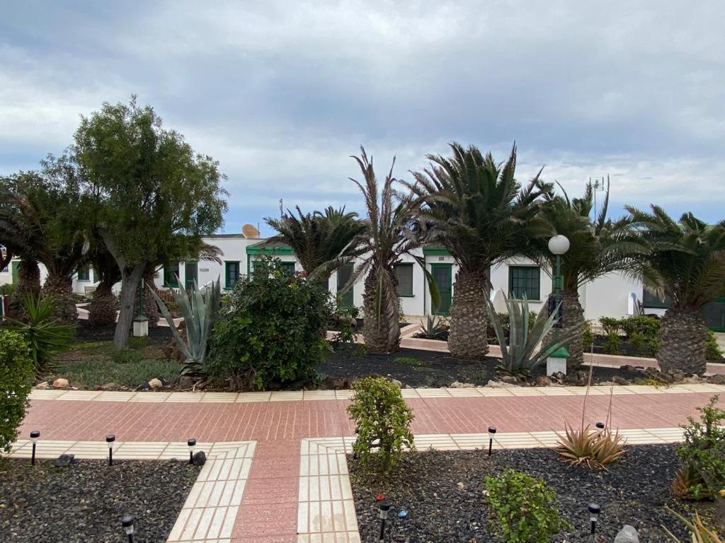 Casa Sandra Cocosol 科斯塔德安提瓜 外观 照片